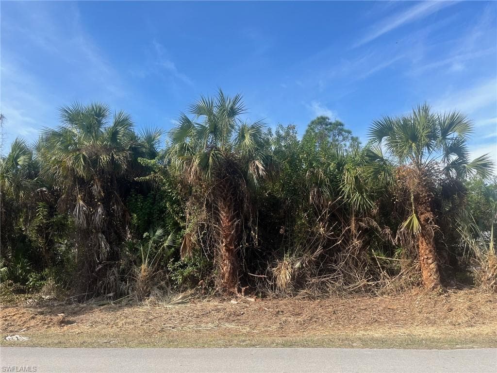 381 22nd ST NE NAPLES, FL 34120