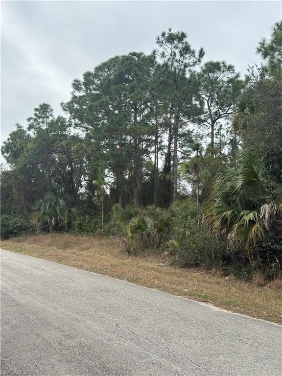 603 James AVE LEHIGH ACRES, FL 33936