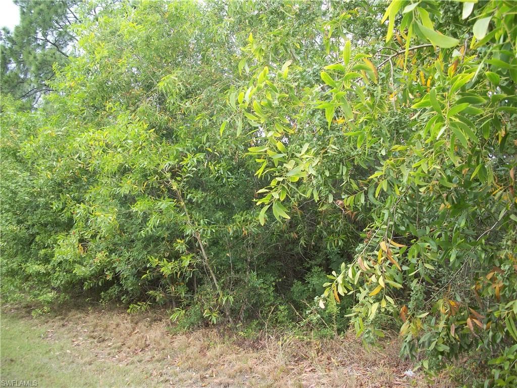 409 Camino Real BLVD CLEWISTON, FL 33440