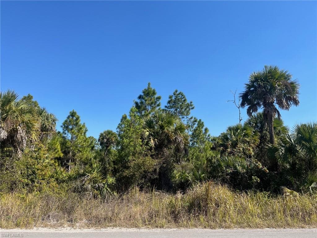 Dove Tree ST NAPLES, FL 34117