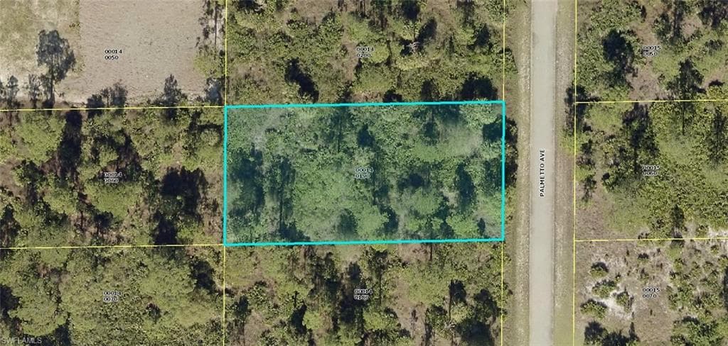 1313 Palmetto AVE LEHIGH ACRES, FL 33972