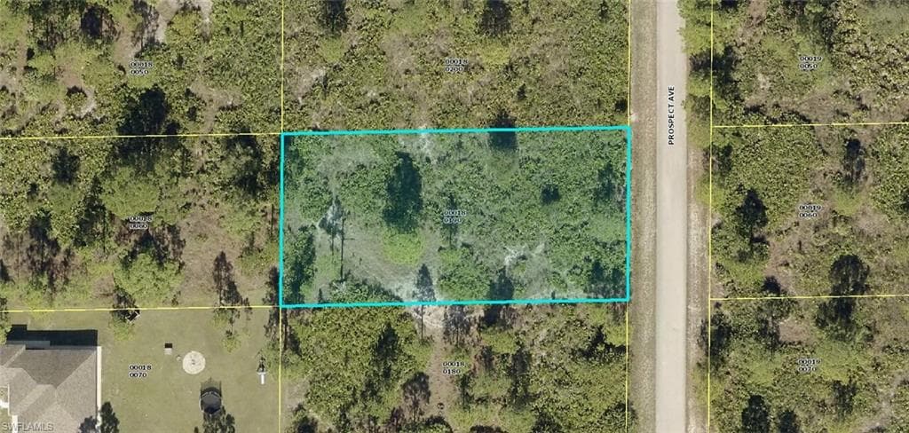 1313 Prospect AVE LEHIGH ACRES, FL 33972