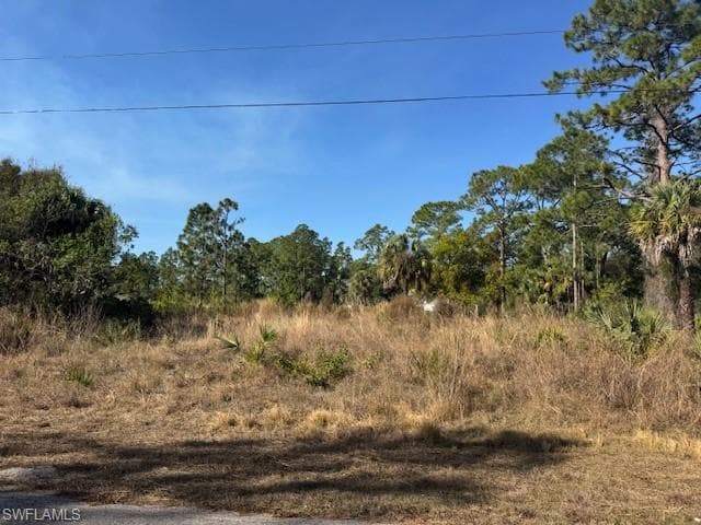 2117 Moore AVE ALVA, FL 33920