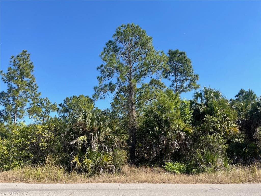 Dove Tree ST NAPLES, FL 34117