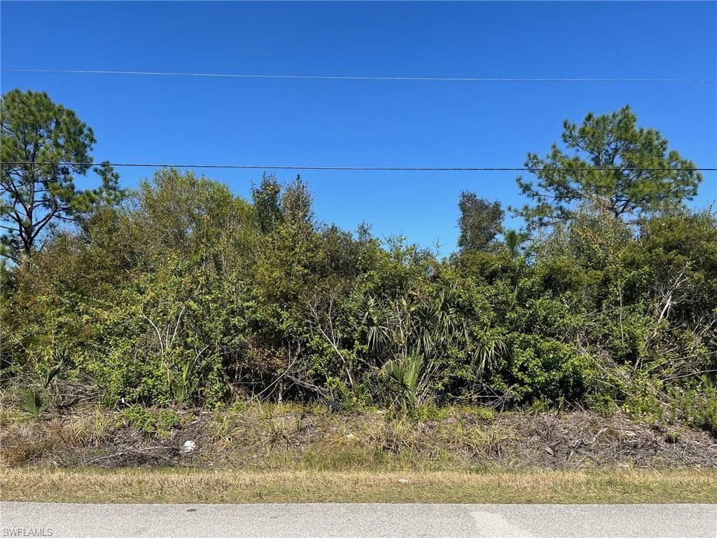 58th AVE NE NAPLES, FL 34120