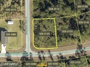 925 Anthony ST E LEHIGH ACRES, FL 33974