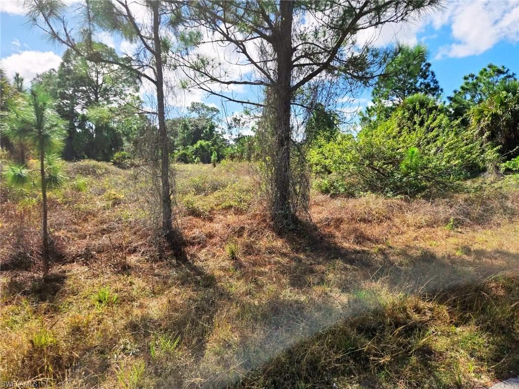 951 Chadwick AVE LEHIGH ACRES, FL 33974