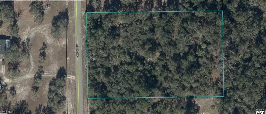 NE 576TH ST OLD TOWN, FL 32680