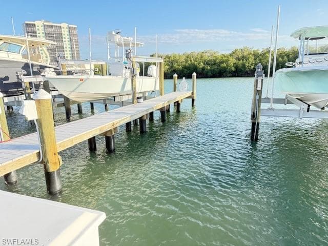 255B Wiggins Bay DR NAPLES, FL 34110