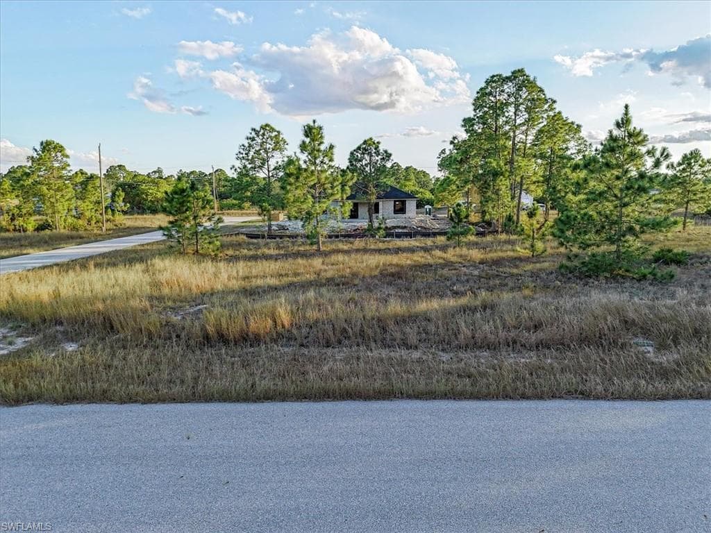 1118 Orient ST E LEHIGH ACRES, FL 33974