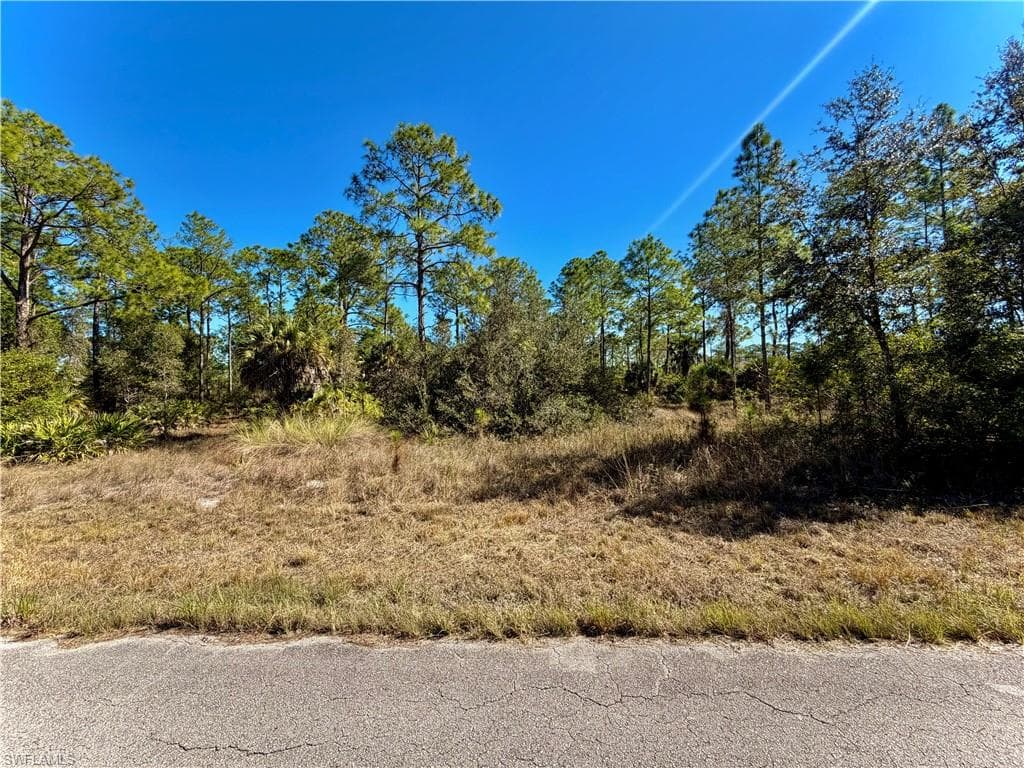 1302 Palmetto AVE LEHIGH ACRES, FL 33972