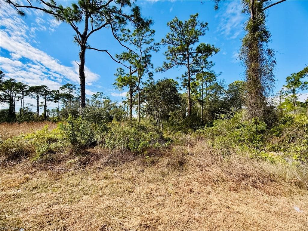 2007 Truman AVE ALVA, FL 33920