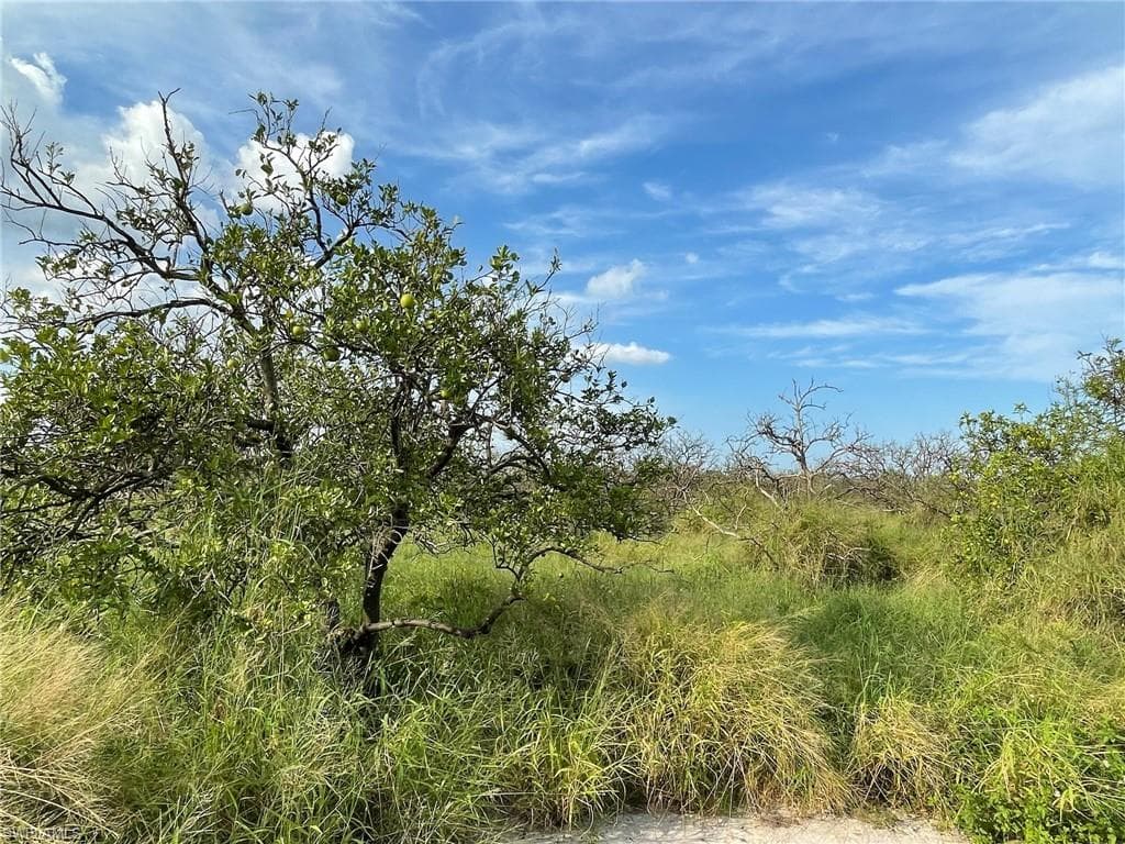 6925 6th RD LABELLE, FL 33935