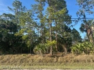 0000 24th AVE NW NAPLES, FL 34120