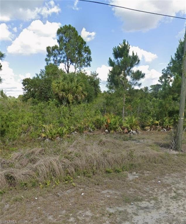 169 Thornton AVE S LEHIGH ACRES, FL 33974
