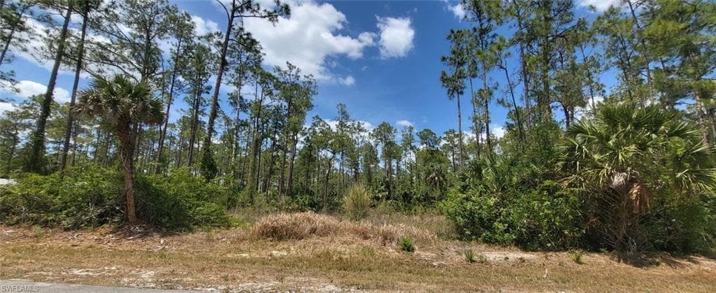 4045 12th AVE SE NAPLES, FL 34117