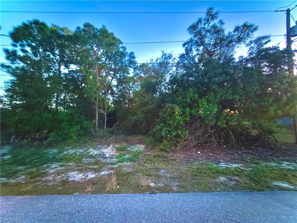 3611 38th ST SW LEHIGH ACRES, FL 33976