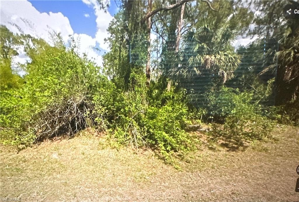 2310 Monroe AVE ALVA, FL 33920
