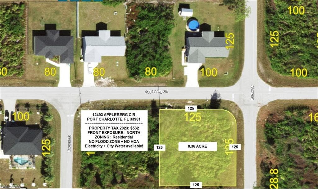 12493 Appleberg CIR PORT CHARLOTTE, FL 33981