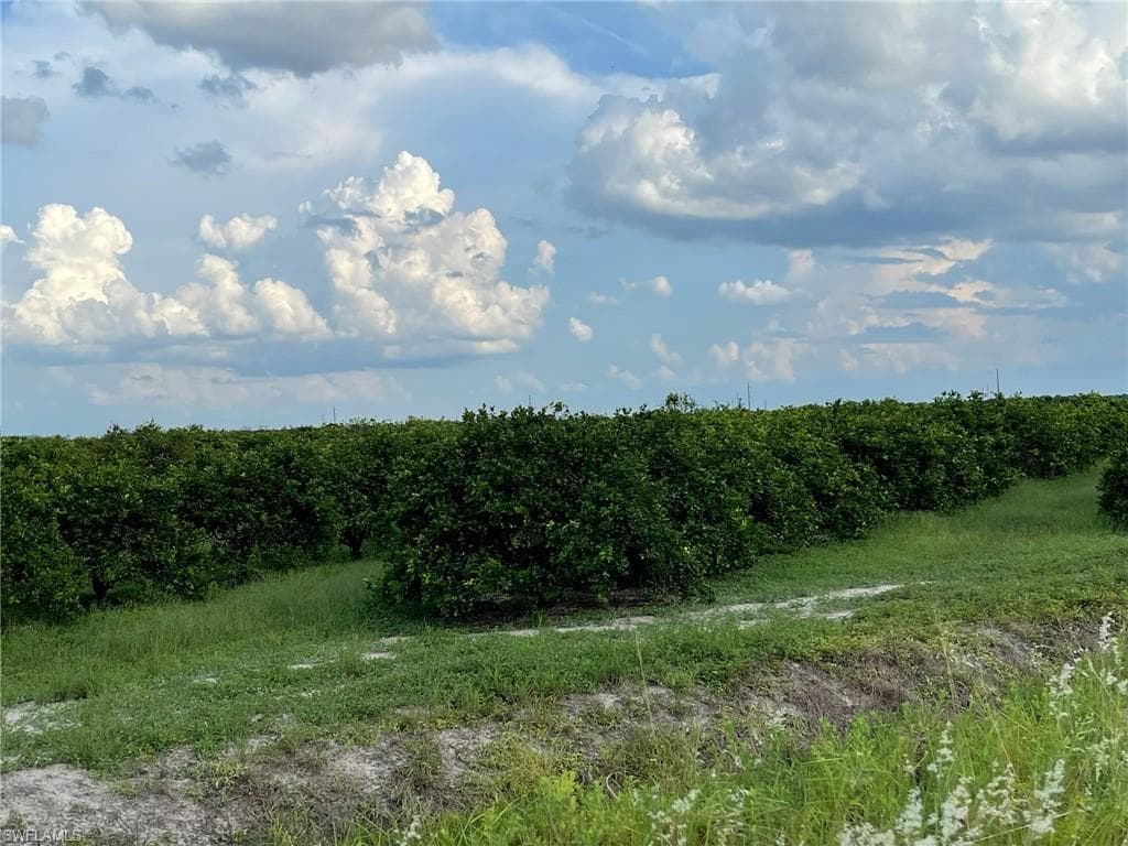 6380 + 6340 6th RD LABELLE, FL 33935
