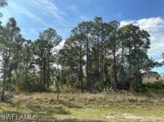 728-730 Eisenhower BLVD LEHIGH ACRES, FL 33974
