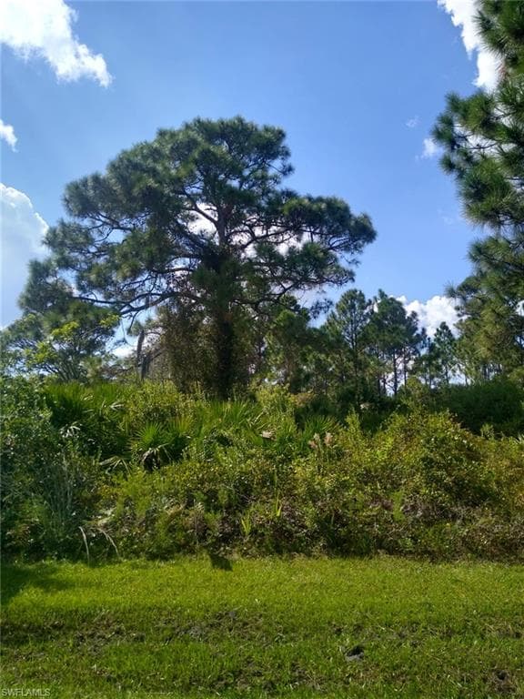 3117 Pickett ST PORT CHARLOTTE, FL 33981