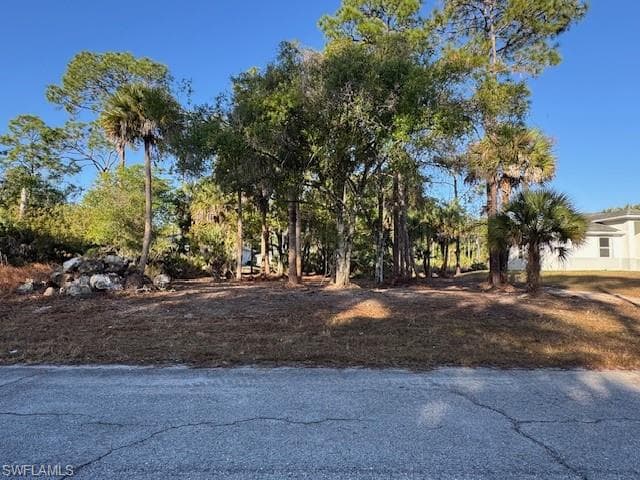 1012 Lockwood ST LABELLE, FL 33935