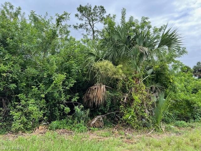 619 Clancy ST E LEHIGH ACRES, FL 33974