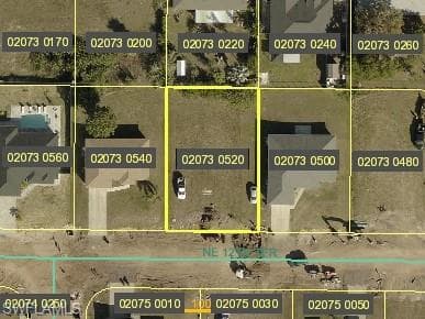1031 NE 12th TER CAPE CORAL, FL 33909