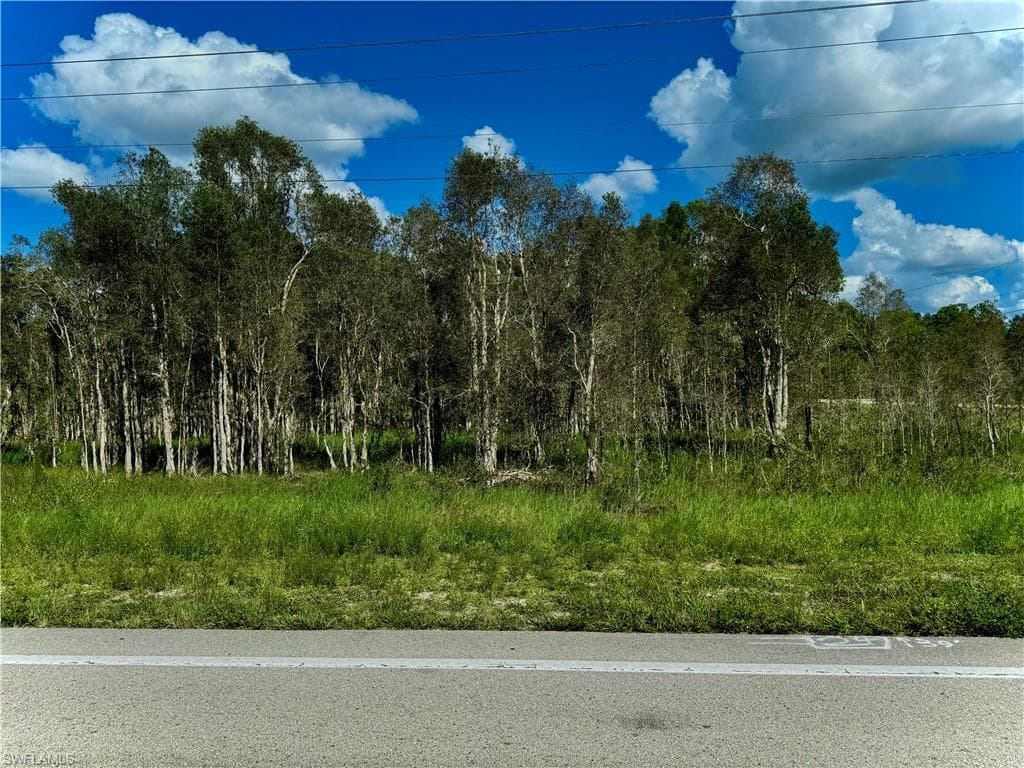 1005/1007 Homestead RD S LEHIGH ACRES, FL 33974