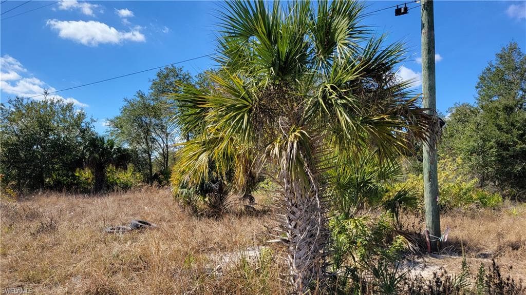 6001 Sunshine BLVD N LEHIGH ACRES, FL 33971