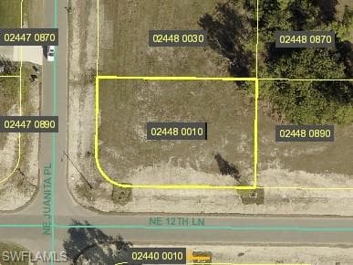 1217 NE Juanita PL CAPE CORAL, FL 33909