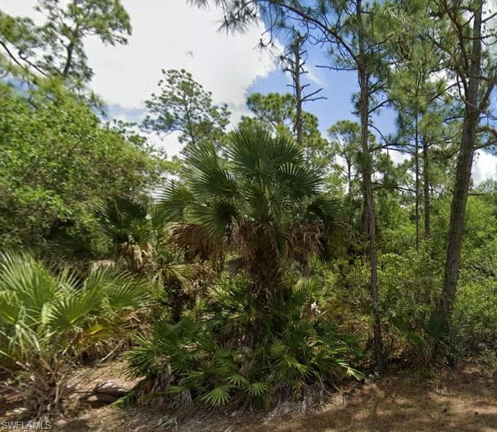 720 Louis AVE LEHIGH ACRES, FL 33972