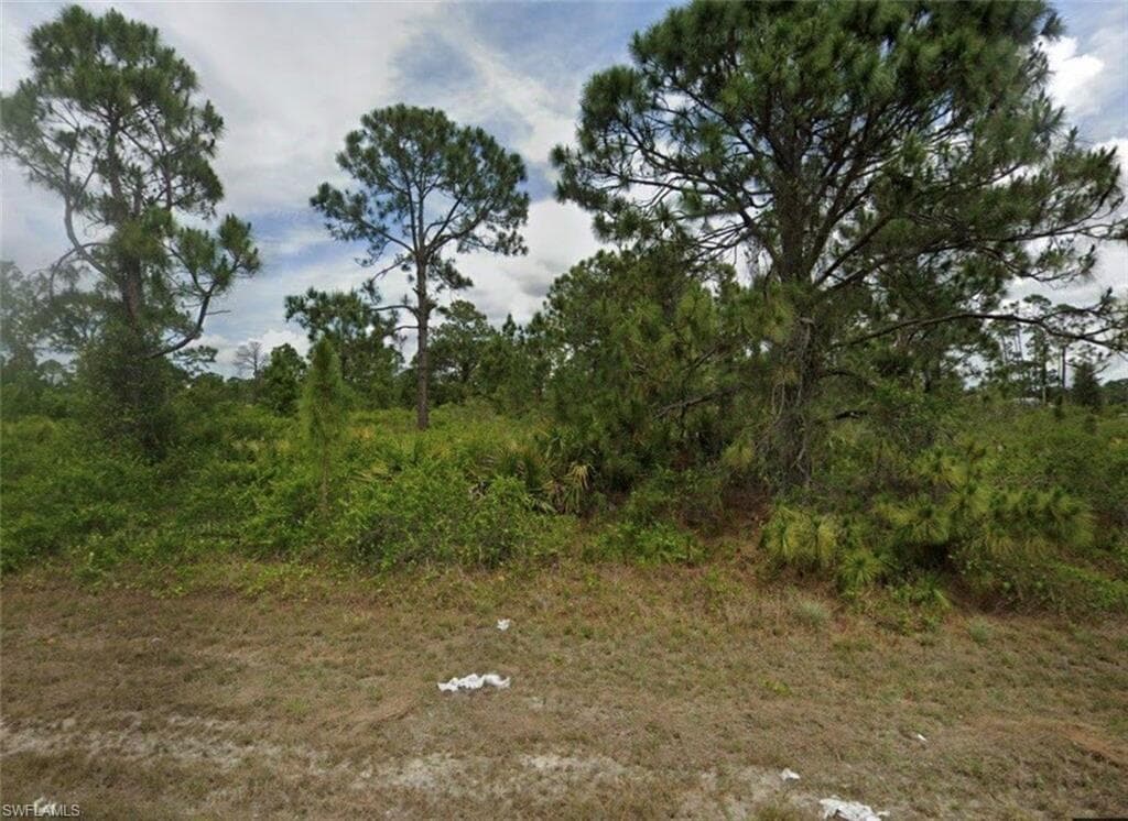 1139 Venetia ST LEHIGH ACRES, FL 33974