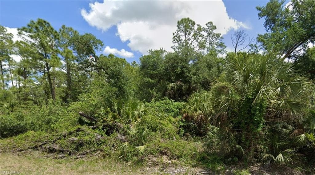 718 Louis AVE LEHIGH ACRES, FL 33972