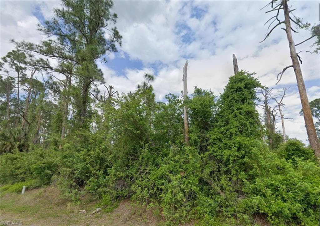704 Wellington AVE LEHIGH ACRES, FL 33972