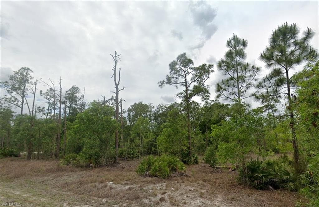 203 Wellington AVE LEHIGH ACRES, FL 33936