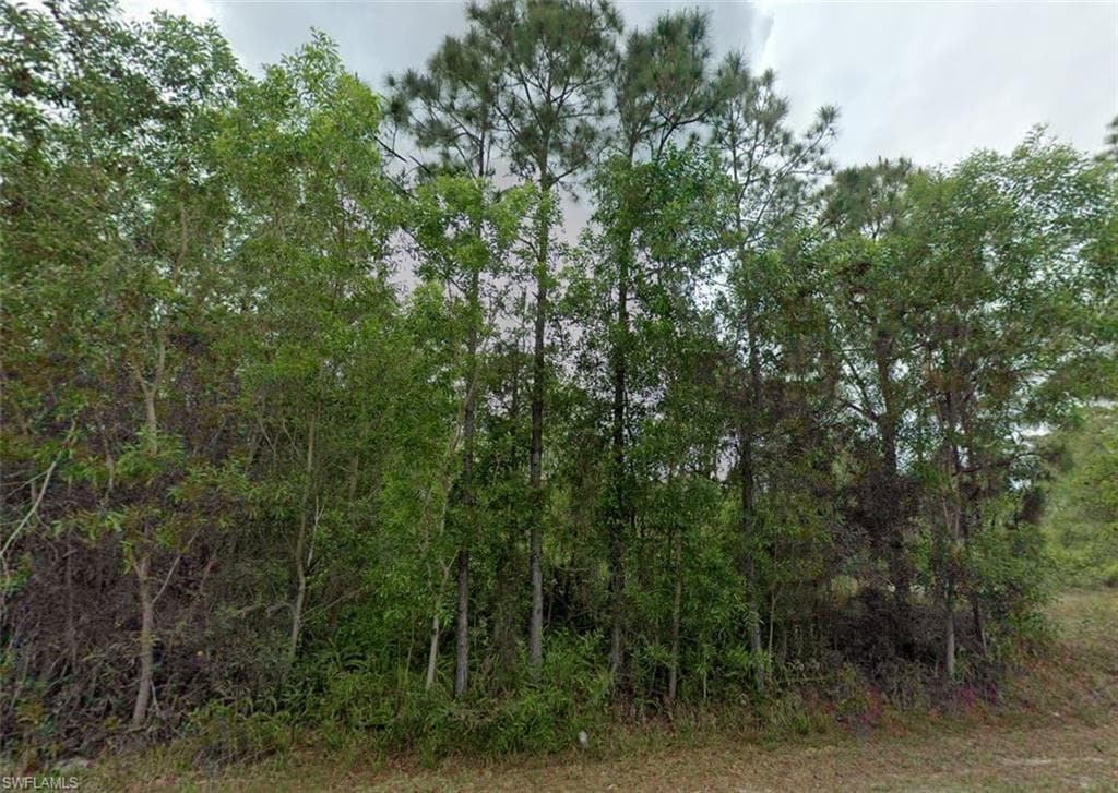 311 Monroe AVE LEHIGH ACRES, FL 33936