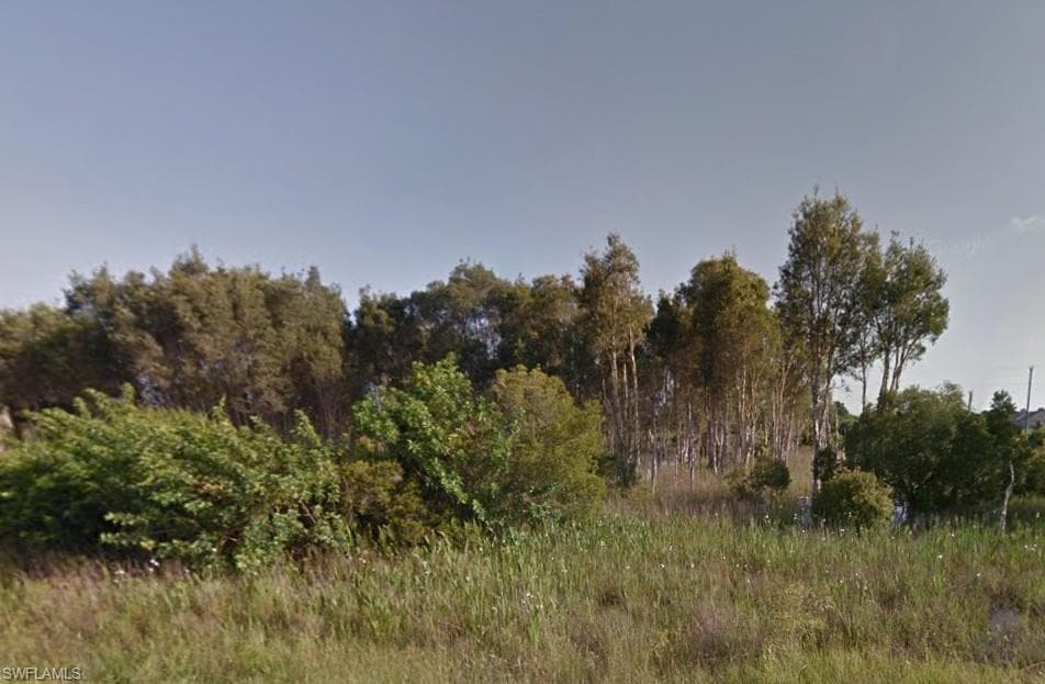 809 Alamo ST E LEHIGH ACRES, FL 33974