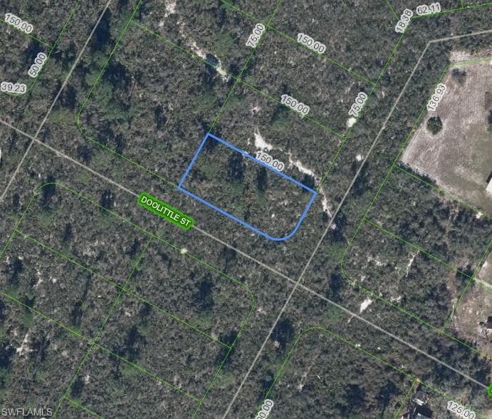 1424 Doolittle ST LAKE PLACID, FL 33852