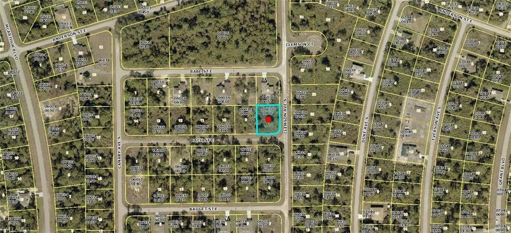 1027 Bach ST E LEHIGH ACRES, FL 33974