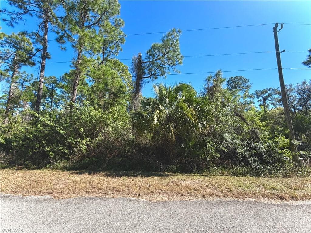 2104 Louis AVE ALVA, FL 33920