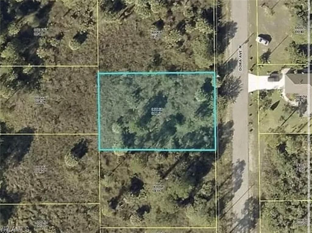 2913 Dora AVE N LEHIGH ACRES, FL 33971