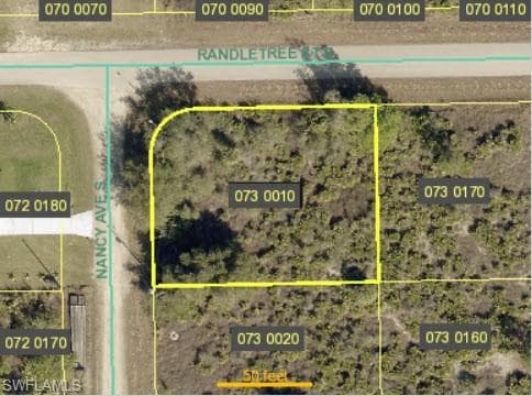231 Nancy AVE S LEHIGH ACRES, FL 33974