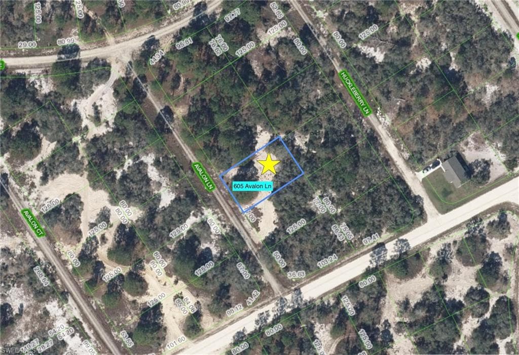 605 Avalon LN LAKE PLACID, FL 33852