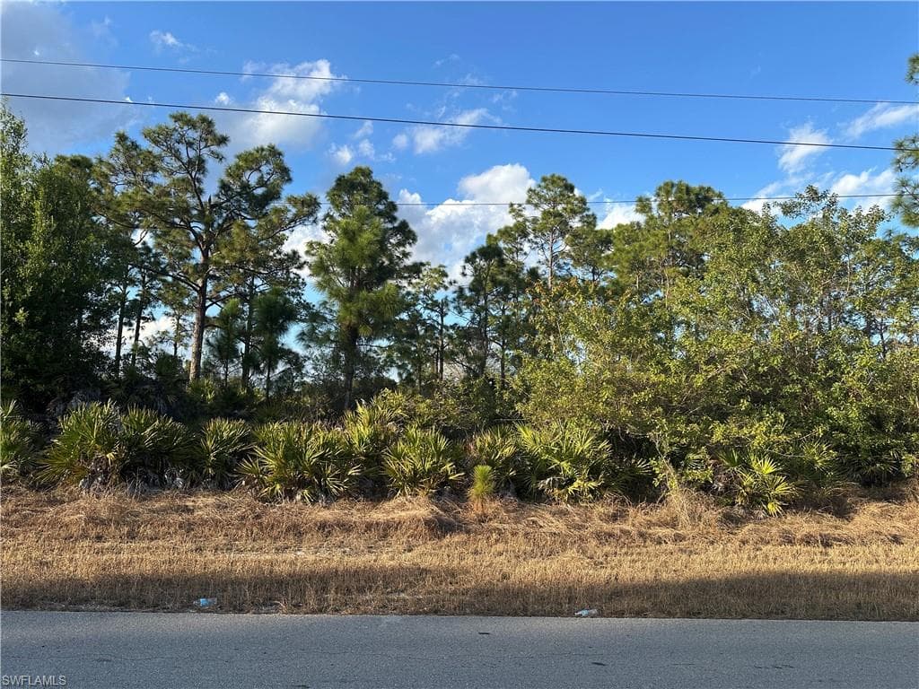 927 Sterling ST E LEHIGH ACRES, FL 33974