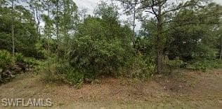 318 Wells AVE LEHIGH ACRES, FL 33936