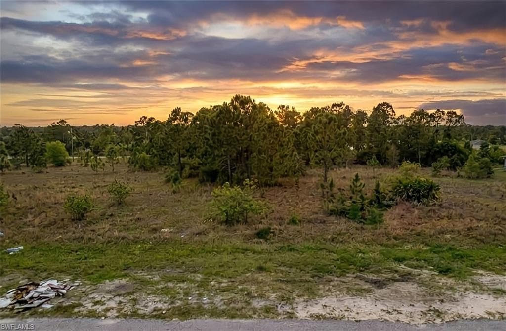 1247 Columbus BLVD FORT MYERS, FL 33913