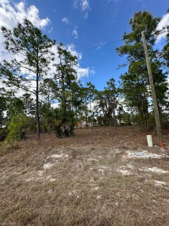 545 Allison ST E LEHIGH ACRES, FL 33974
