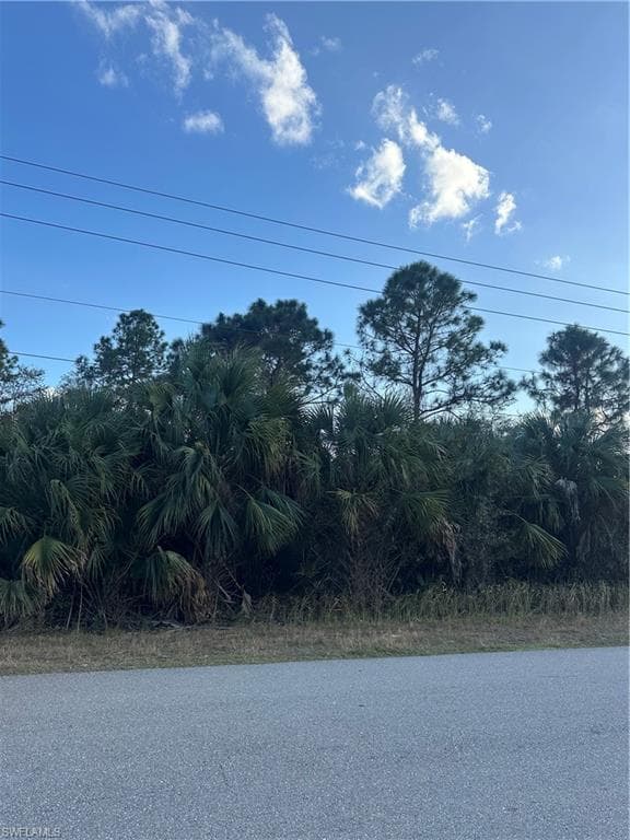 665 Woodcrest DR LEHIGH ACRES, FL 33972
